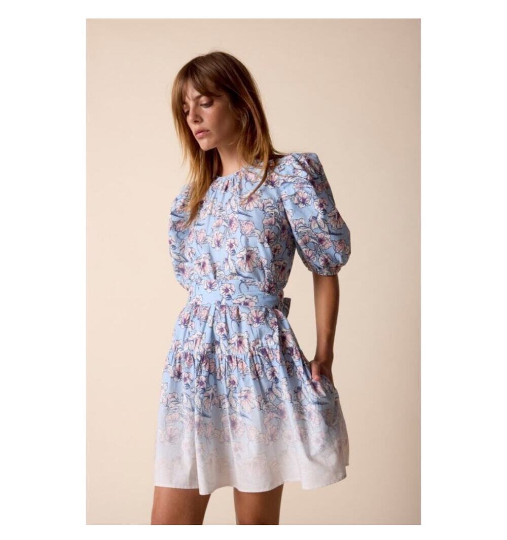 St Roche Floral Mini Dress Blue White